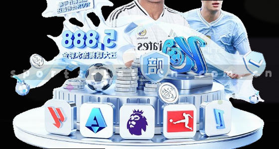 如何通过手机APP访问系统？